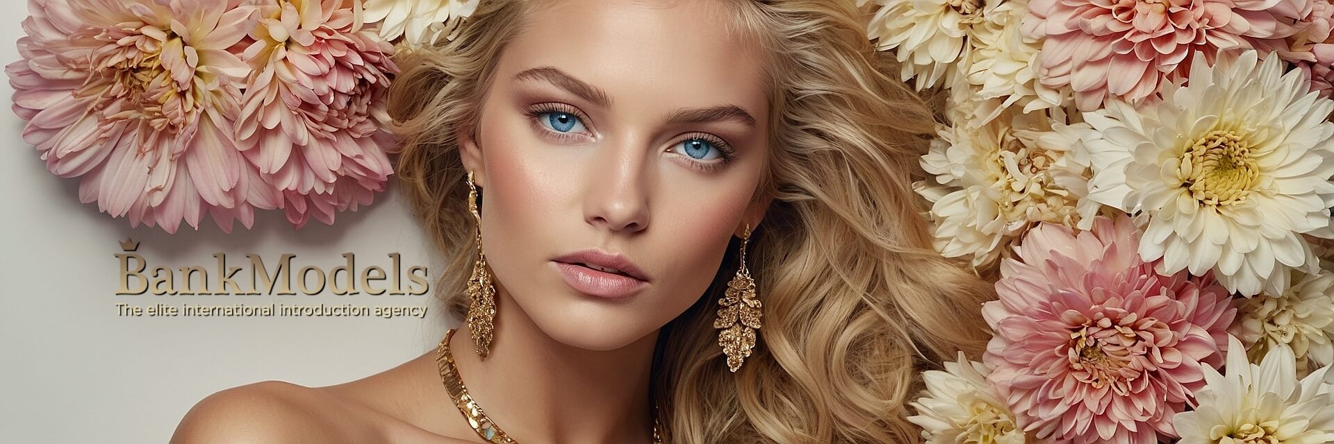 Bankmodels Elite Introductions